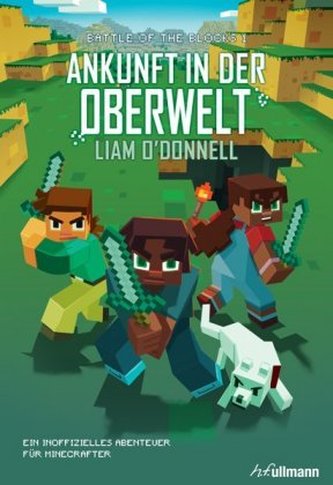 Minecraft - Ankunft in der Oberwelt