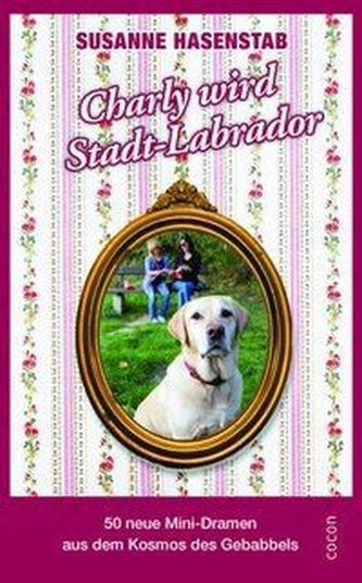 Charly wird Stadt-Labrador