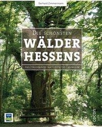 Die schönsten Wälder Hessens