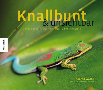 Knallbunt & unsichtbar