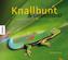Knallbunt & unsichtbar