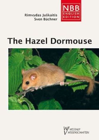 The Hazel Dormouse