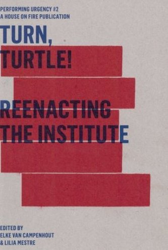 Turn, Turtle! Reenacting The Institute