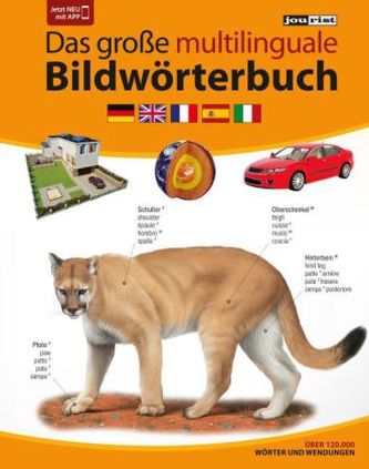 JOURIST Das große multilinguale Bildwörterbuch Deutsch-Englisch-Französisch-Spanisch-Italienisch