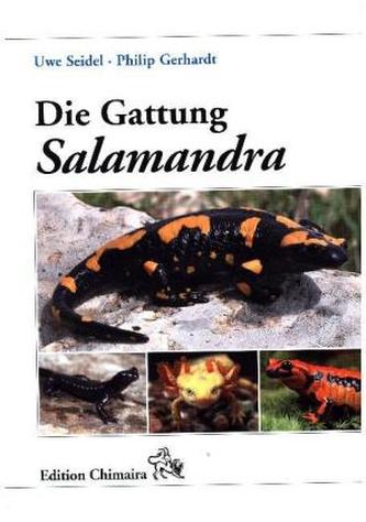 Die Gattung Salamandra