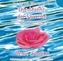 Die Macht der Sprache, 1 Audio-CD