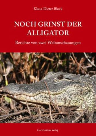 Noch grinst der Alligator