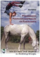 Pferdebegleitete Persönlichkeitsentwicklung für Führungskräfte