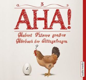 AHA! Hubert Filsers großes Buch der Alltagsfragen - Box, 8 Audio-CDs