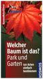 Welcher Baum ist das?