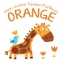 Mein erstes Farben-Fühlbuch - Orange