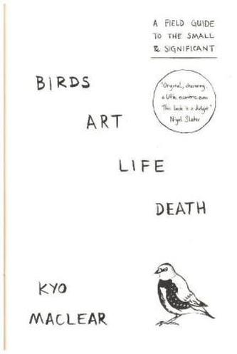 Birds Art Life Death