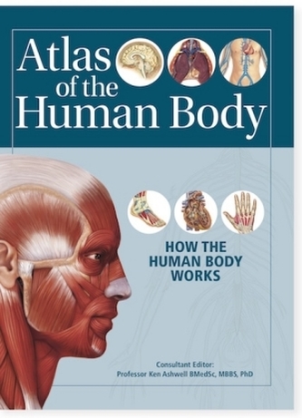 Atlas of the Human Body