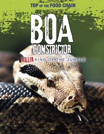 Boa Constrictor