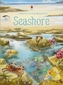 Seashore