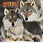 Wolves 2018