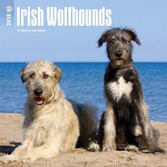 Irish Wolfhounds 2018