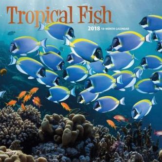 Tropical Fish 2018