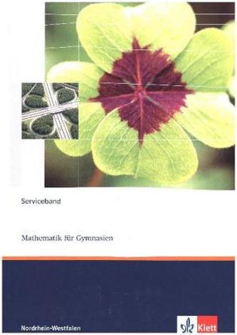 8. Schuljahr, Serviceband