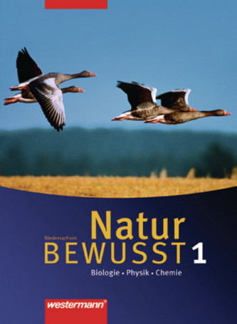 5.-6. Schuljahr, Schülerband