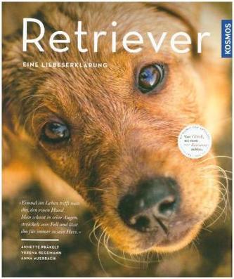 Retriever - Eine Liebeserklärung