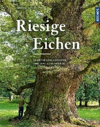 Riesige Eichen