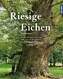 Riesige Eichen