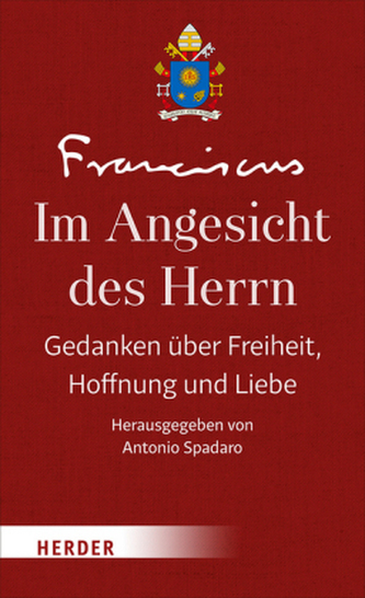 Im Angesicht des Herrn. Bd.1