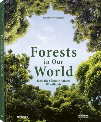 Forests in Our World: How the Climate Affects Woodlands