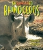 Endangered Rhinoceros