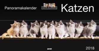 Katzen, Panoramakalender 2018