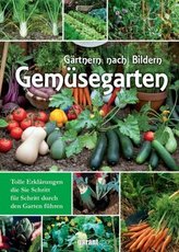 Gemüsegarten