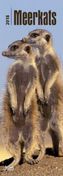 Meerkats 2018