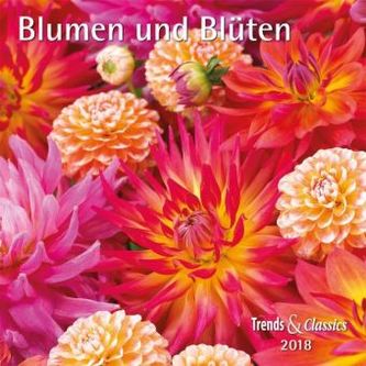 Blumen und Blüten 2018
