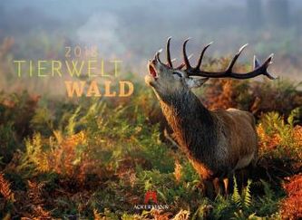Tierwelt Wald 2018