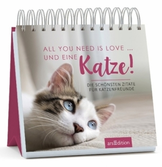 All you need is love ... und eine Katze!