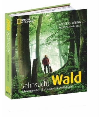 Sehnsucht Wald