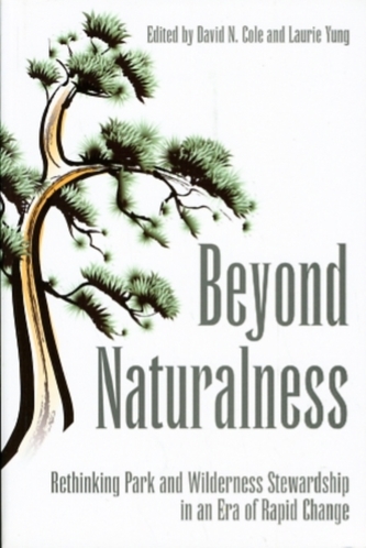 Beyond Naturalness