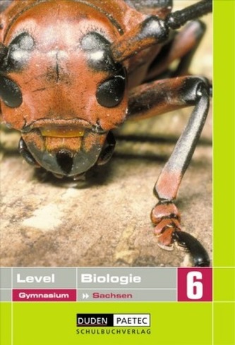 Lehrbuch für die Klasse 6