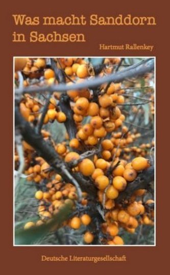 Was macht Sanddorn in Sachsen