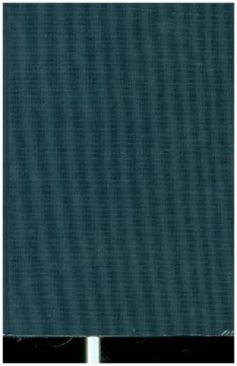 Der Reichstag zu Worms 1509