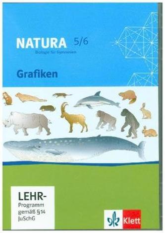 5./6. Schuljahr, Grafiken auf CD-ROM