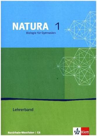 5./6. Schuljahr, Lehrerband mit CD-ROM (G8)