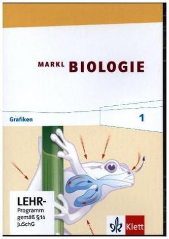 5./6. Schuljahr, Grafik-CD-ROM