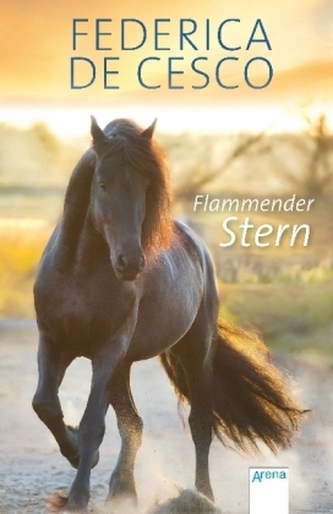 Flammender Stern