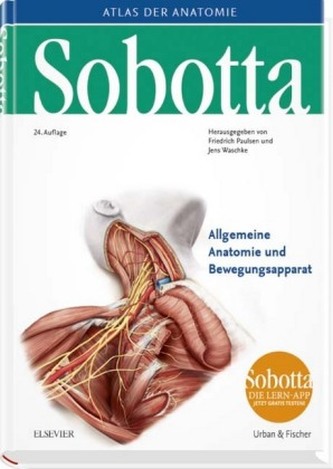 Allgemeine Anatomie und Bewegungsapparat