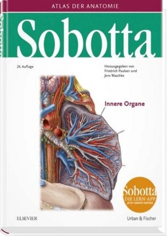 Innere Organe