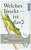 Welches Insekt ist das?