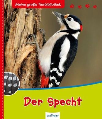 Der Specht