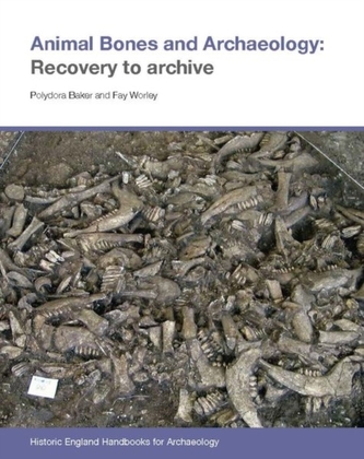 Animal Bones and Archaeology